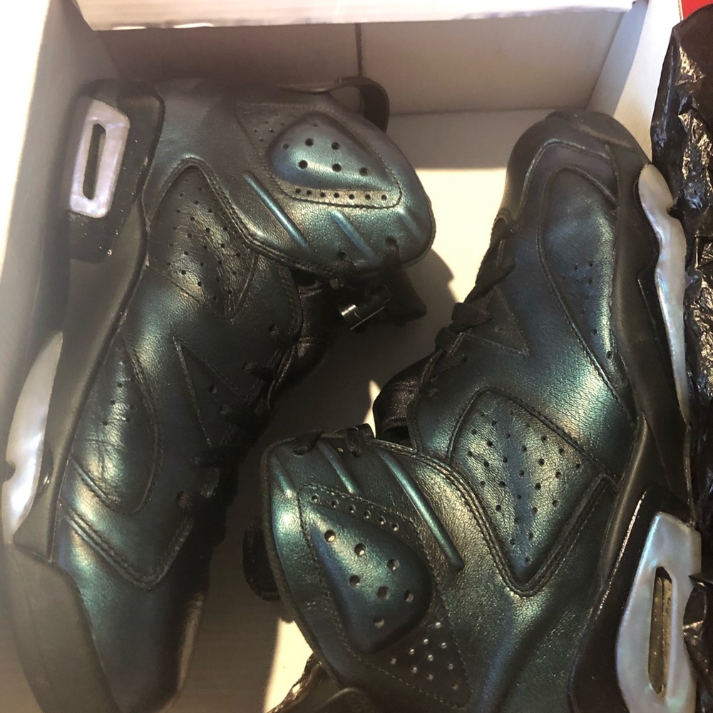 Jordan 6 Chameleon